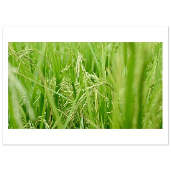9b3cc2e8-50be-4d4f-96ed-cdf516a9a4a6