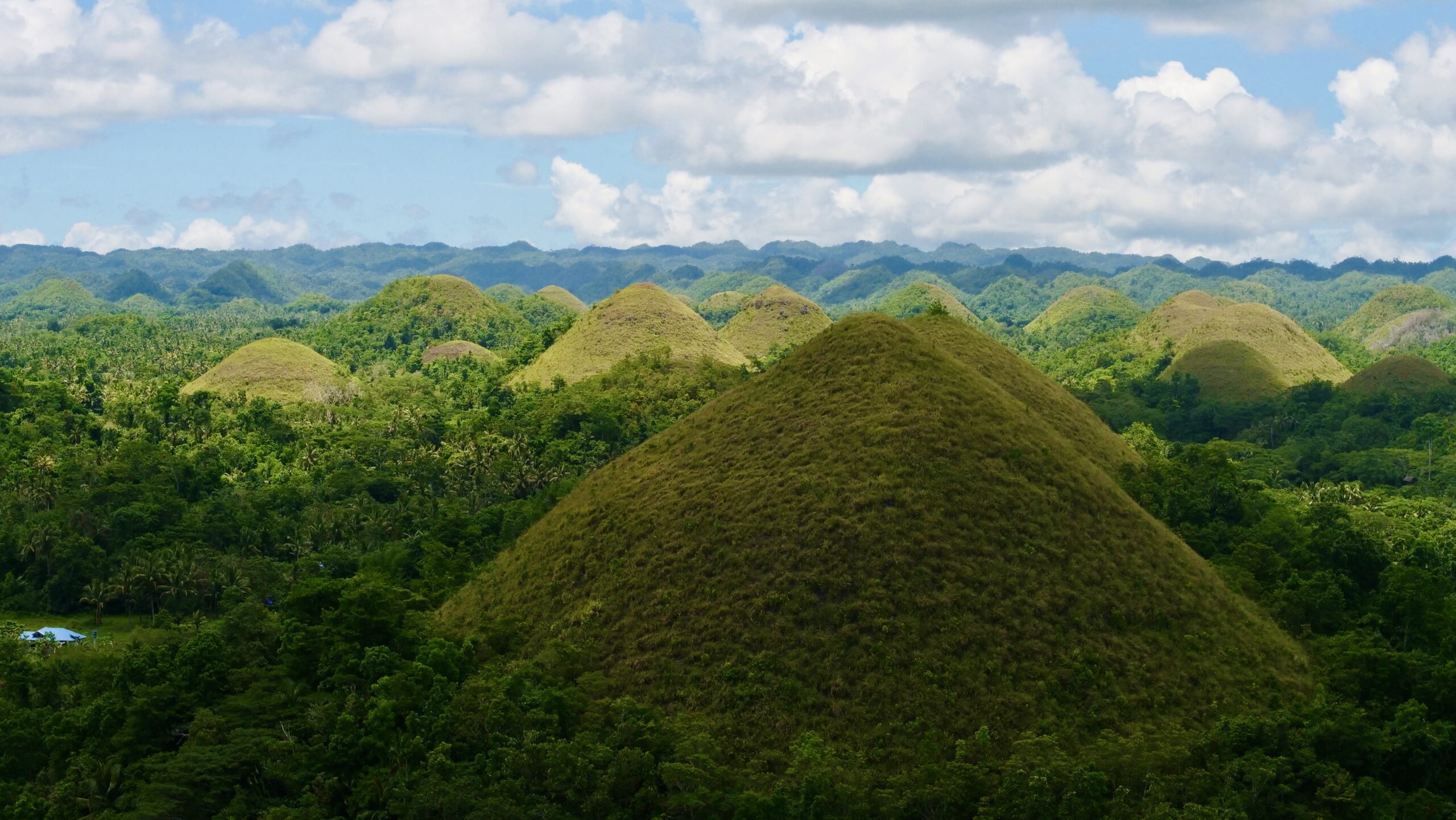 El Latido de la Tierra: Crónica de las Colinas de Chocolate de Bohol