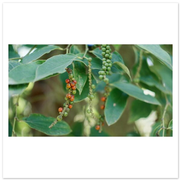 bc196235-40f6-4cbd-84fc-477b9f6eb995