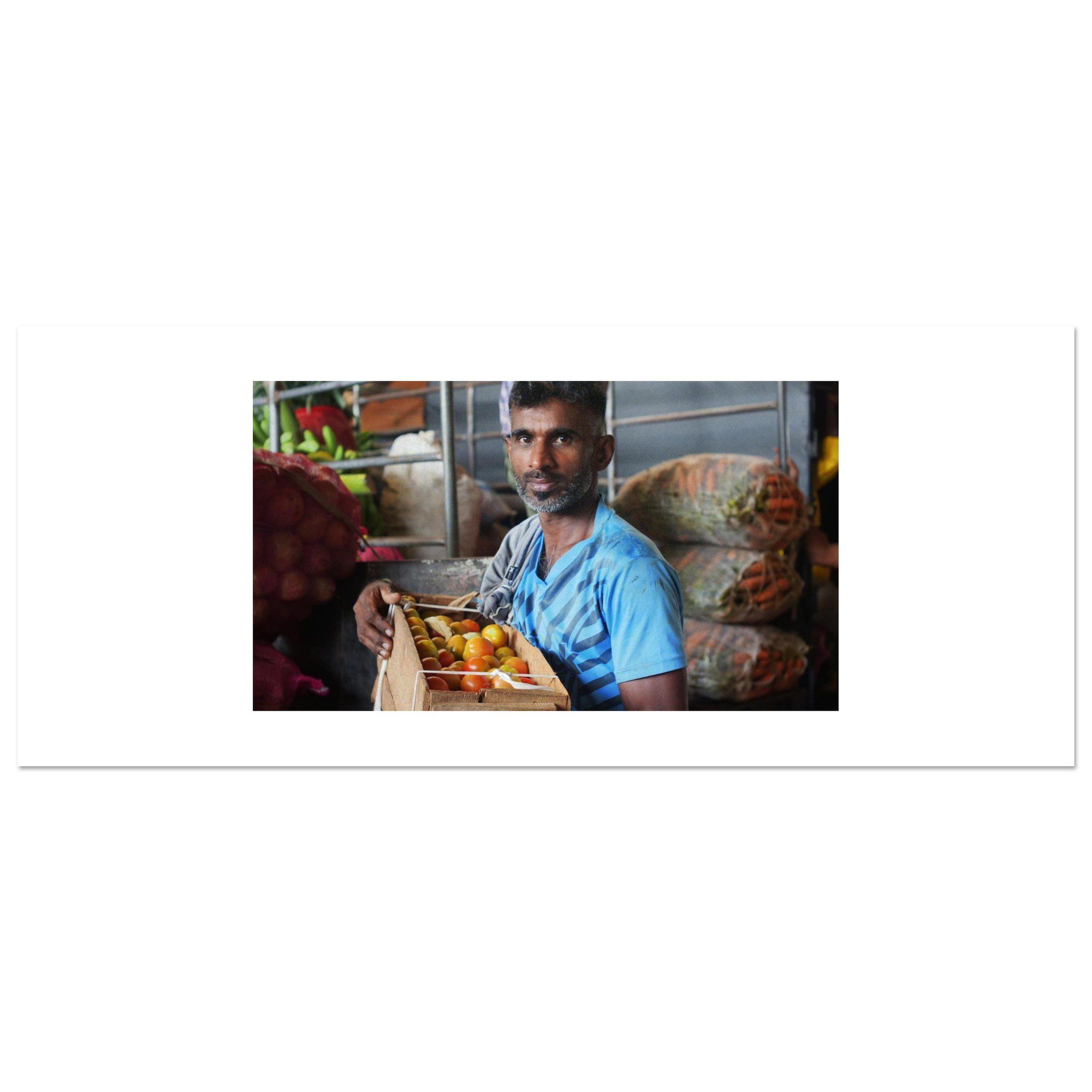 387d446d-7d48-4ad0-90a9-83ce5882ea68