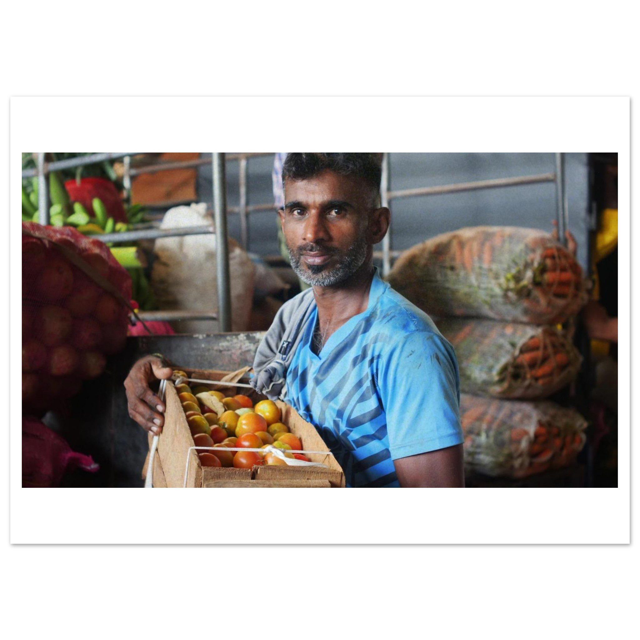 77e109db-141f-4d35-911c-cb4fdce69529