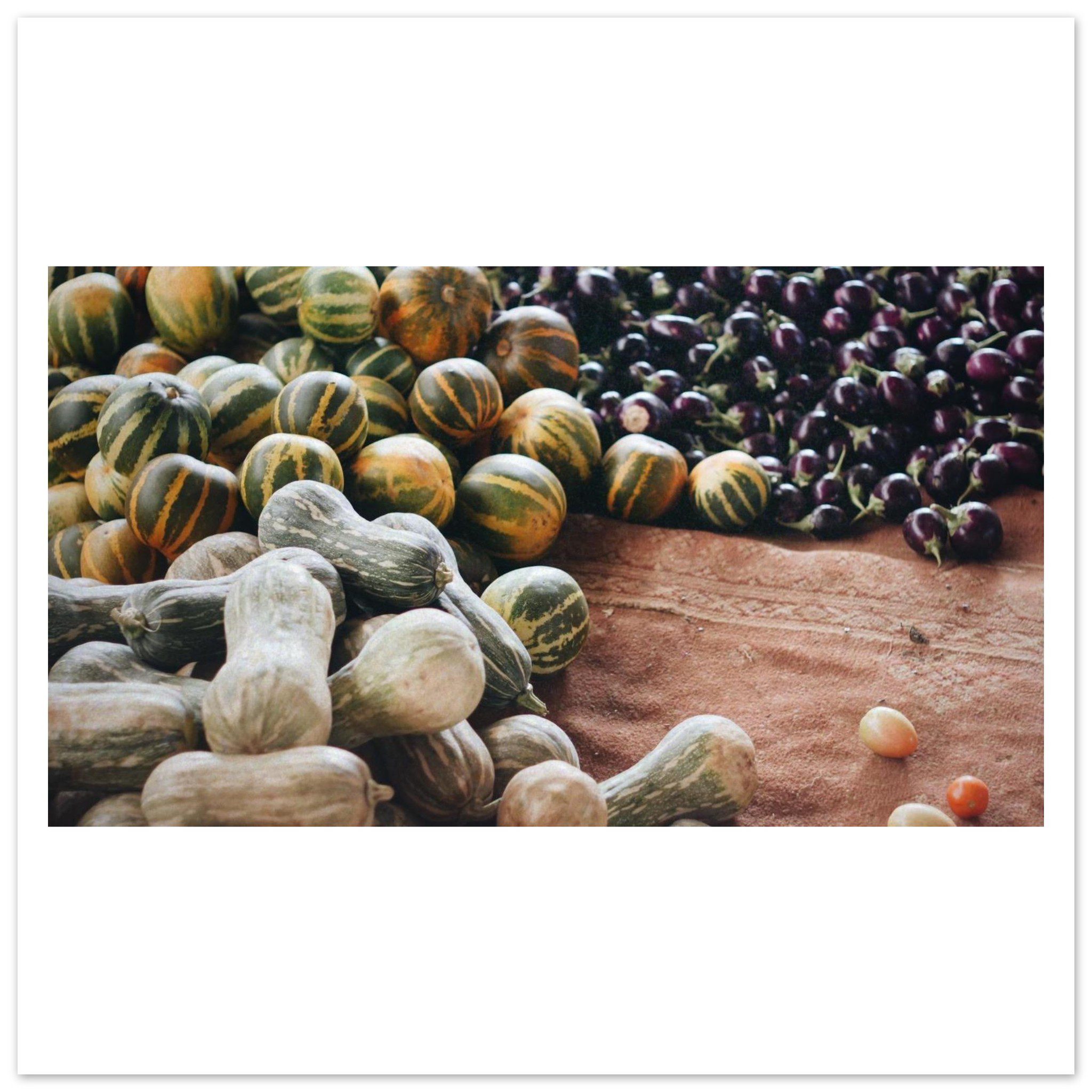 8c7cb5ff-466c-4807-b978-770a13d95620