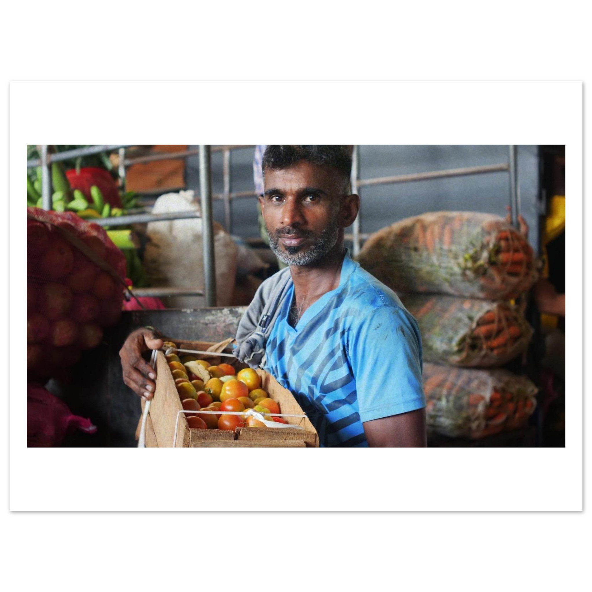 a8241f32-97aa-4f17-8912-e1a4087dd06e