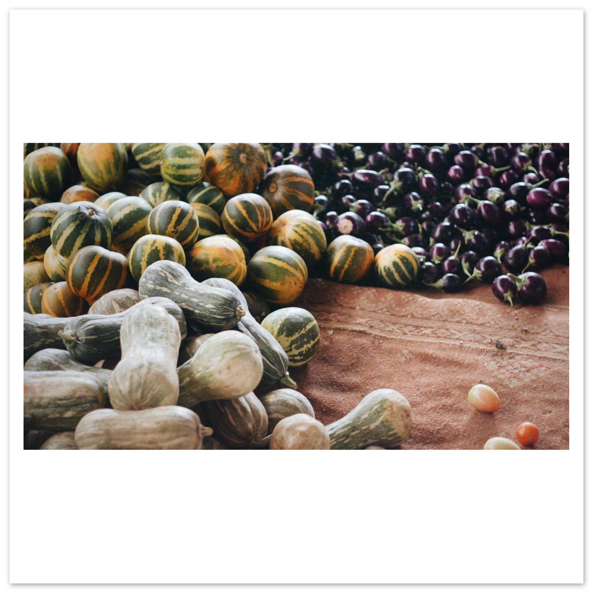 cc519589-77b3-48c6-af46-075c27dfbe2e